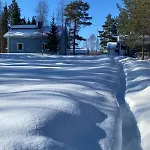Birch Rovaniemi