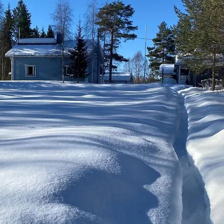 Birch Rovaniemi