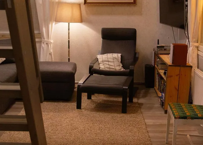 Birch 别墅 罗瓦涅米