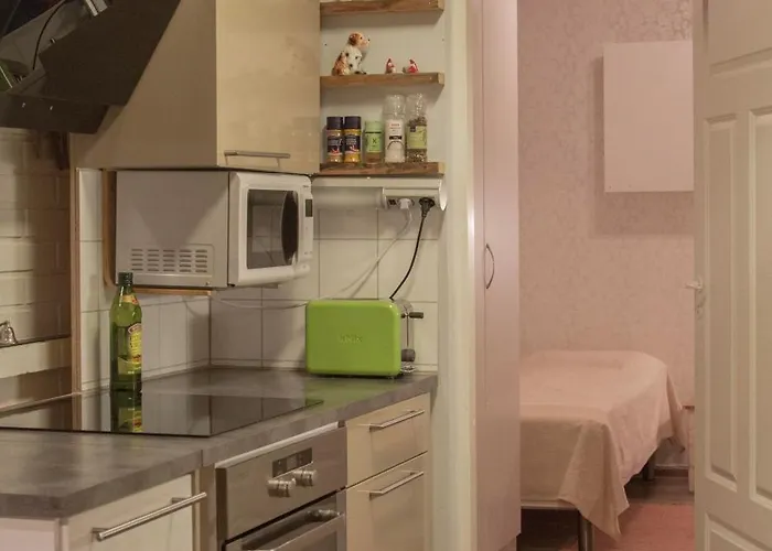 Birch 别墅 罗瓦涅米