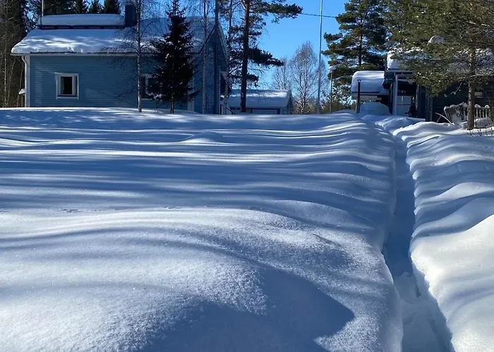 Birch רובניימי