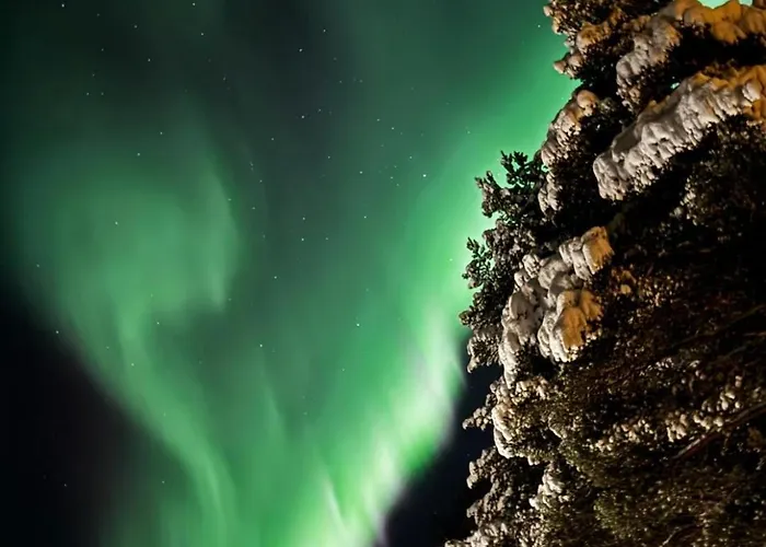 Birch 别墅 罗瓦涅米